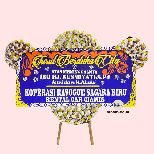 Bintang Jatuh