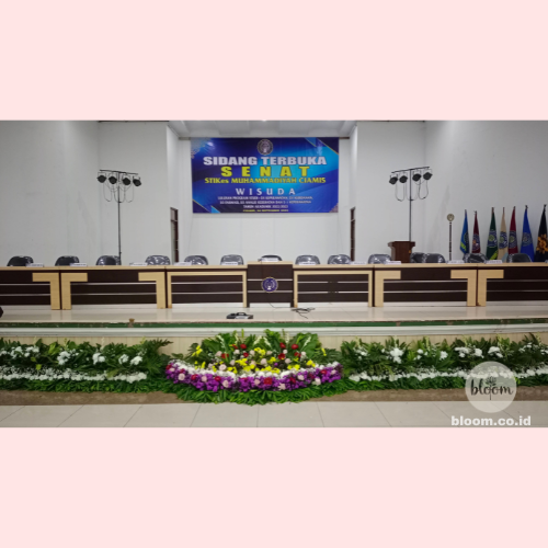 Formal Stage
