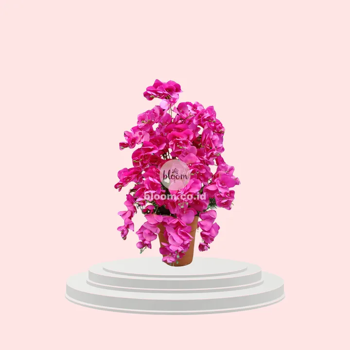 Fuschia Cascade Orchid