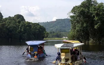 Ciamis